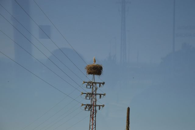 Viaje cultural a Córdoba 2015 - 11